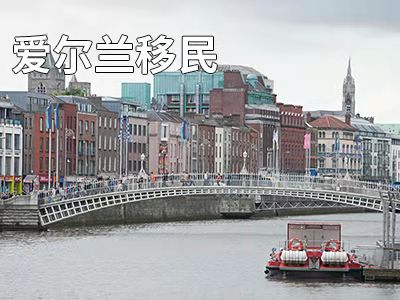 愛爾蘭移民